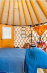 Yurt For Sale