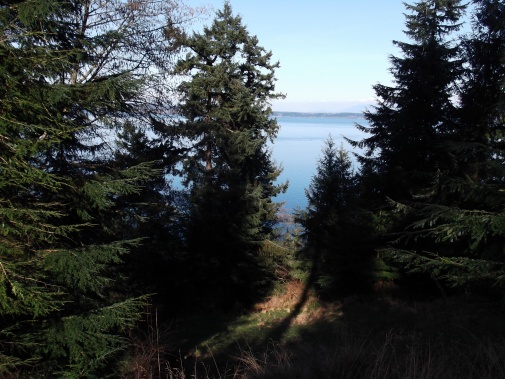 Starting My Yurt Life On Orcas Island, Wa - Yurt Forum - A Yurt 