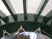 IMG_1617.jpg