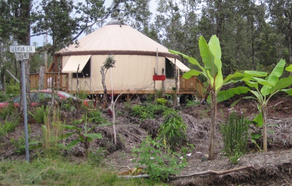 Cropped CornerView +BananaTrees