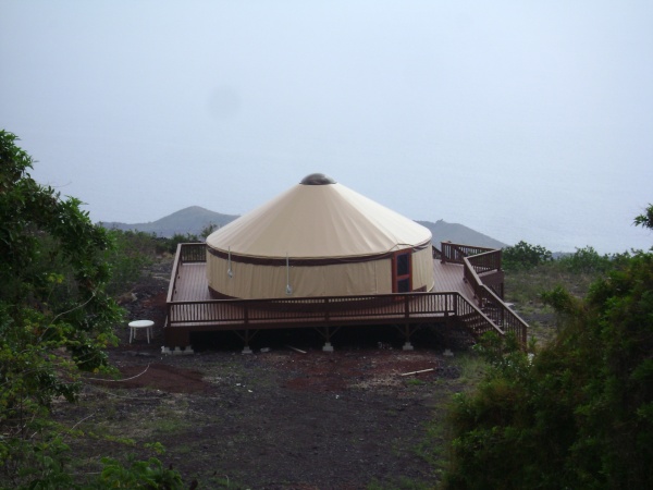 DSC03331