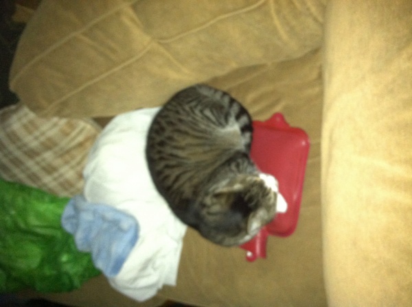 Everyone gets a hot water bottle!