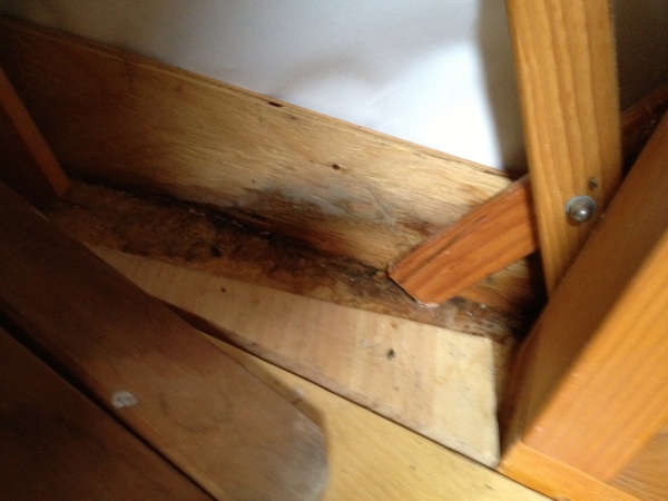you can see where the wet area was, the liner is on the outside if the benderboard
