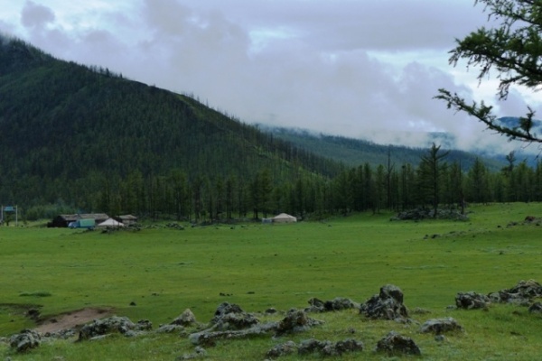Yurts across a lush meadow.