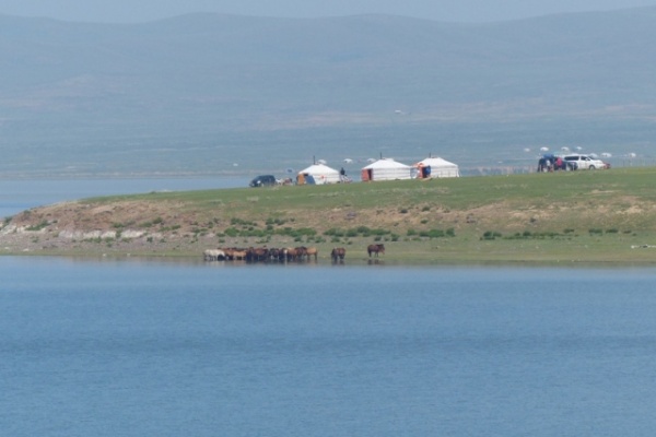 Yurts and horses on Lake Ugii's shore.